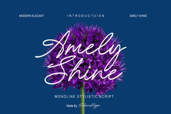 Amely Shine: Elevating Digital Brand Identity with Modern Script Typography