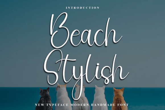 Beach Stylish: The Perfect Typeface for Handmade Branding
