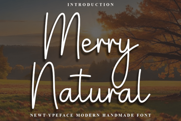 Merry Natural Typeface Review: A Modern Script for Campaign Design